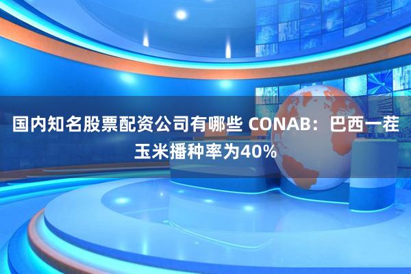国内知名股票配资公司有哪些 CONAB：巴西一茬玉米播种率为40%