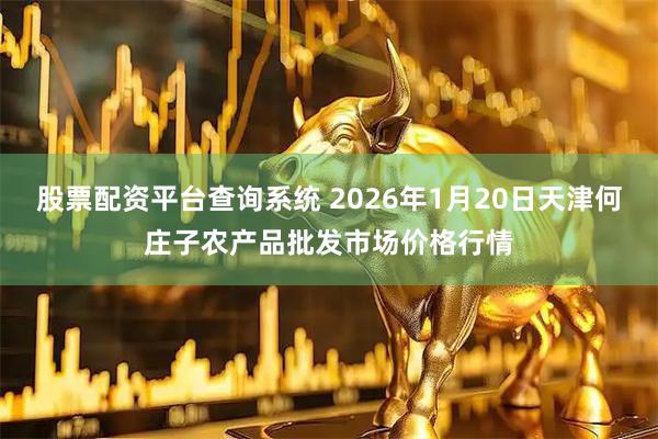 股票配资平台查询系统 2026年1月20日天津何庄子农产品批发市场价格行情